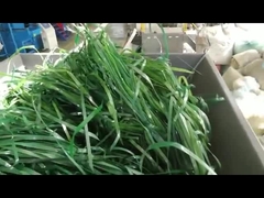 Máy nghiền vật liệu mềm một trục